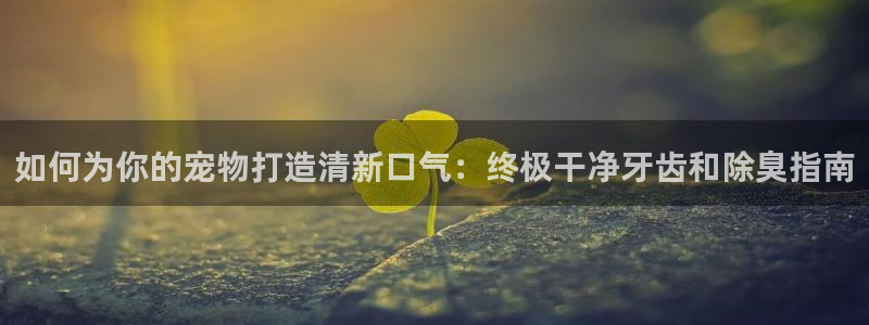 尊龙凯时网站首页手机登录：如何为你的宠物打造清新口气：终