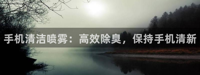 尊龙ag旗舰厅登录 租车app下载：手机清洁喷雾：高效除